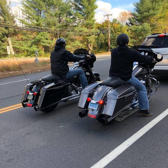 Meet your Posher, Teddy - Picture 1 of 1